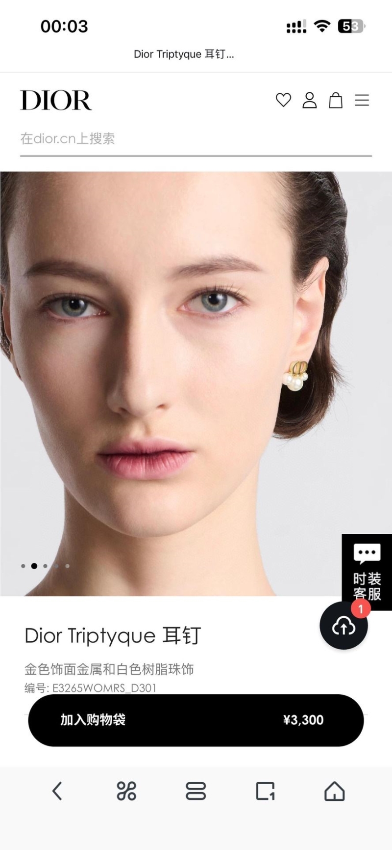 Christian Dior Earrings